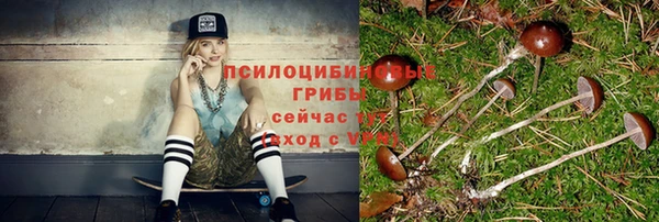 дурь Костерёво